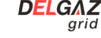 Delgaz Grid S.A.